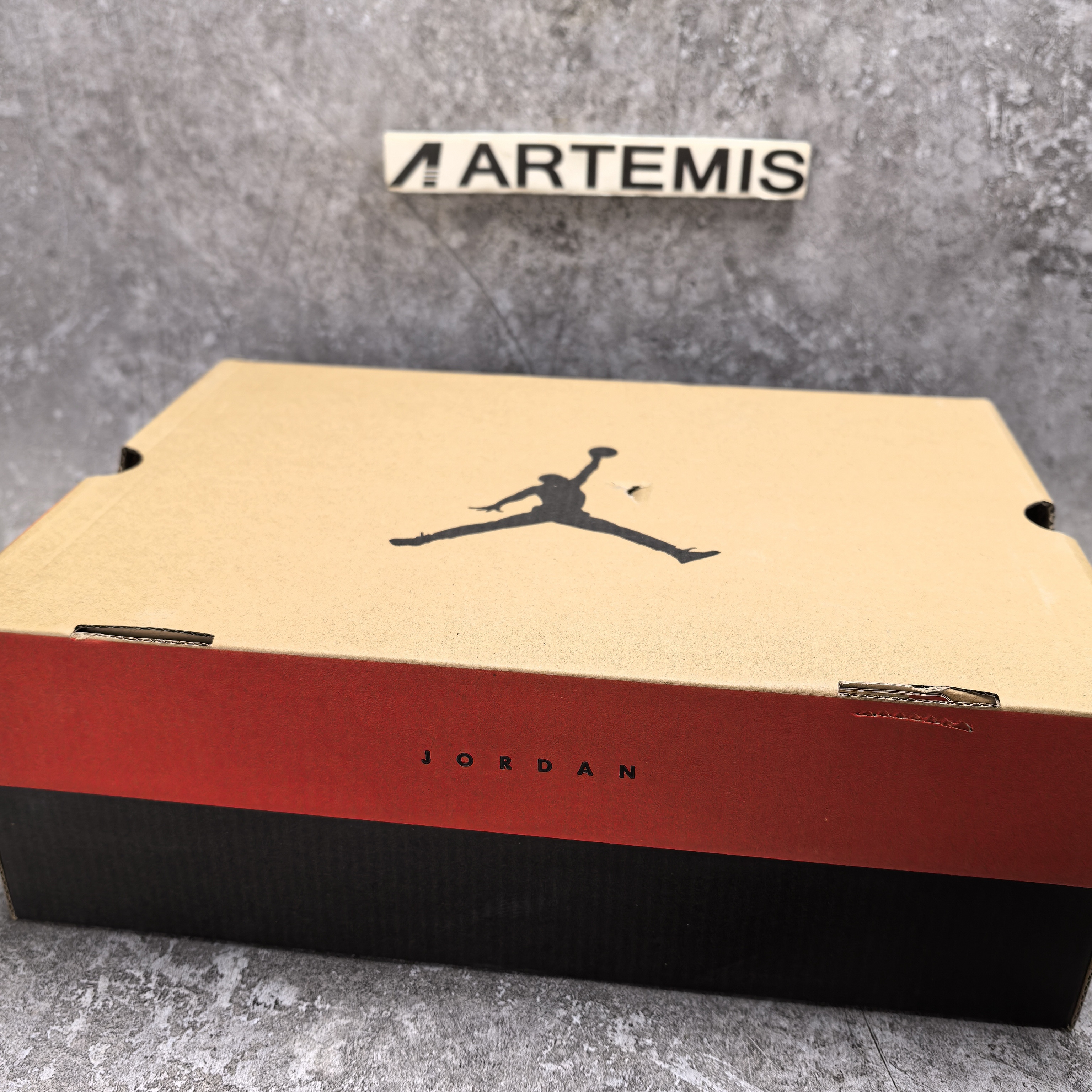 UA Jordan 12 Retro