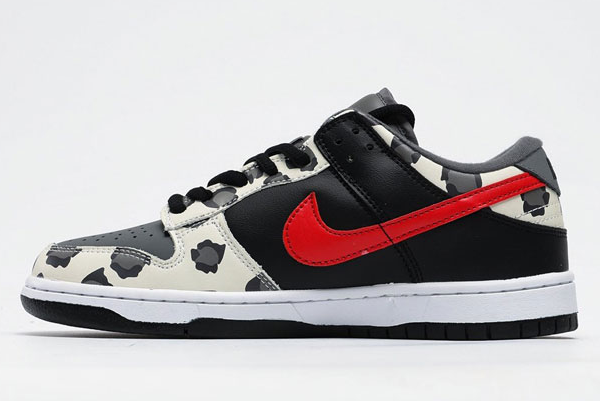 Nike Dunk SB Low Graffiti
