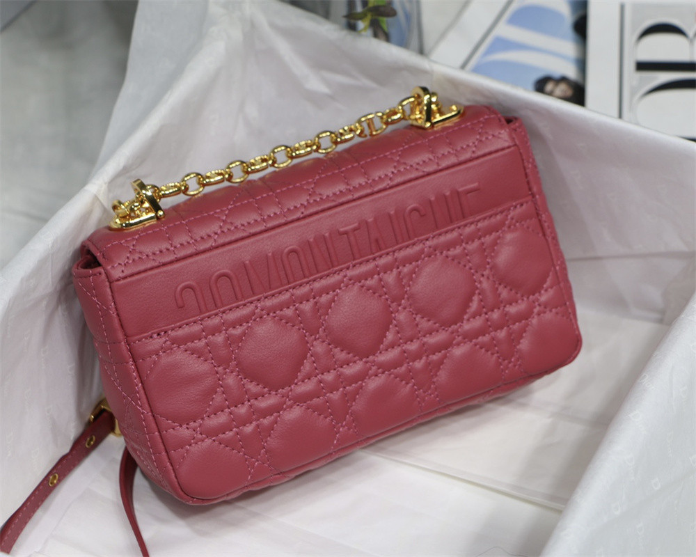 small d*or caro bag light red S*pple cannage calfskin 20 x 12 x 7 cm