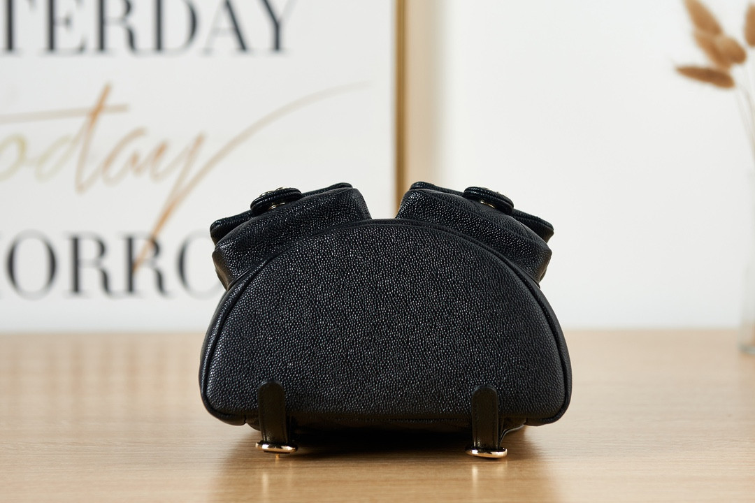 Ch*el backpack 21x20x12cm