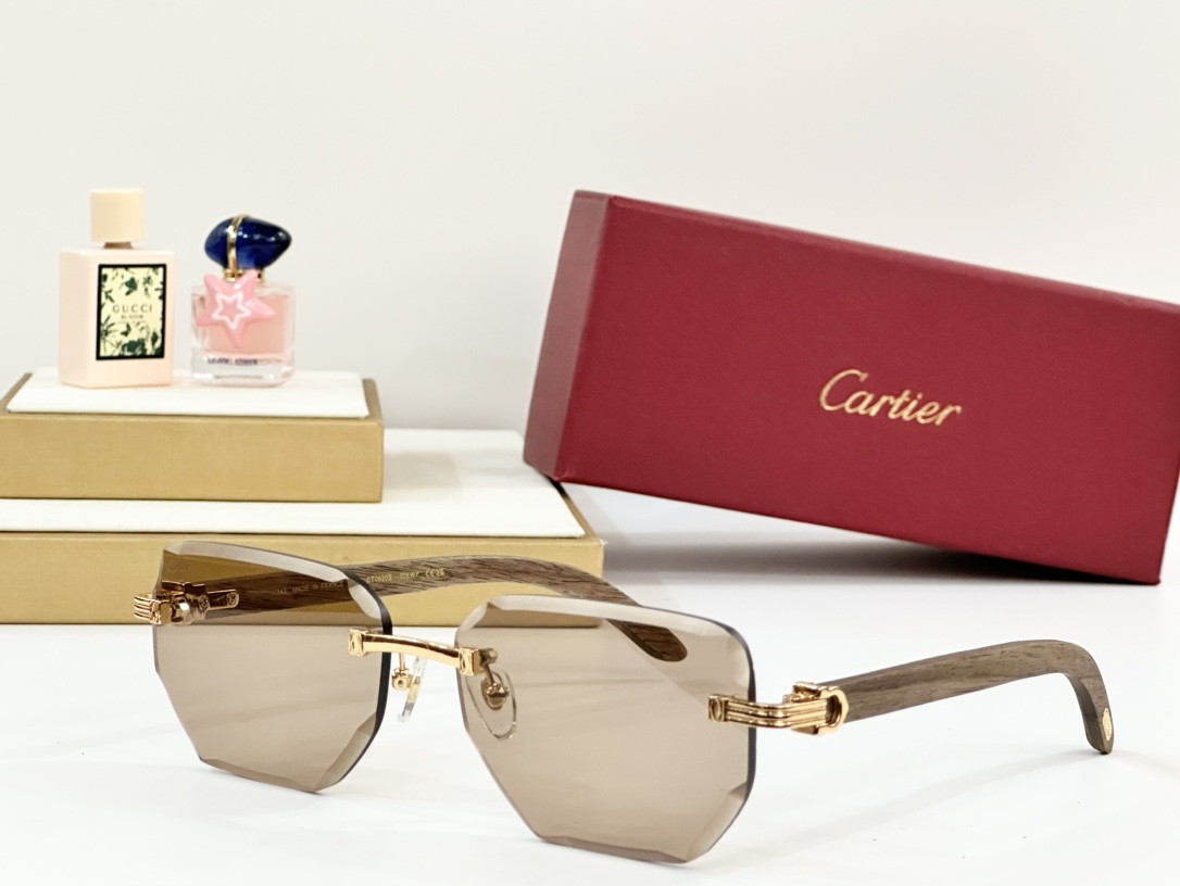 Ca*t*er glasses paris ct0620s